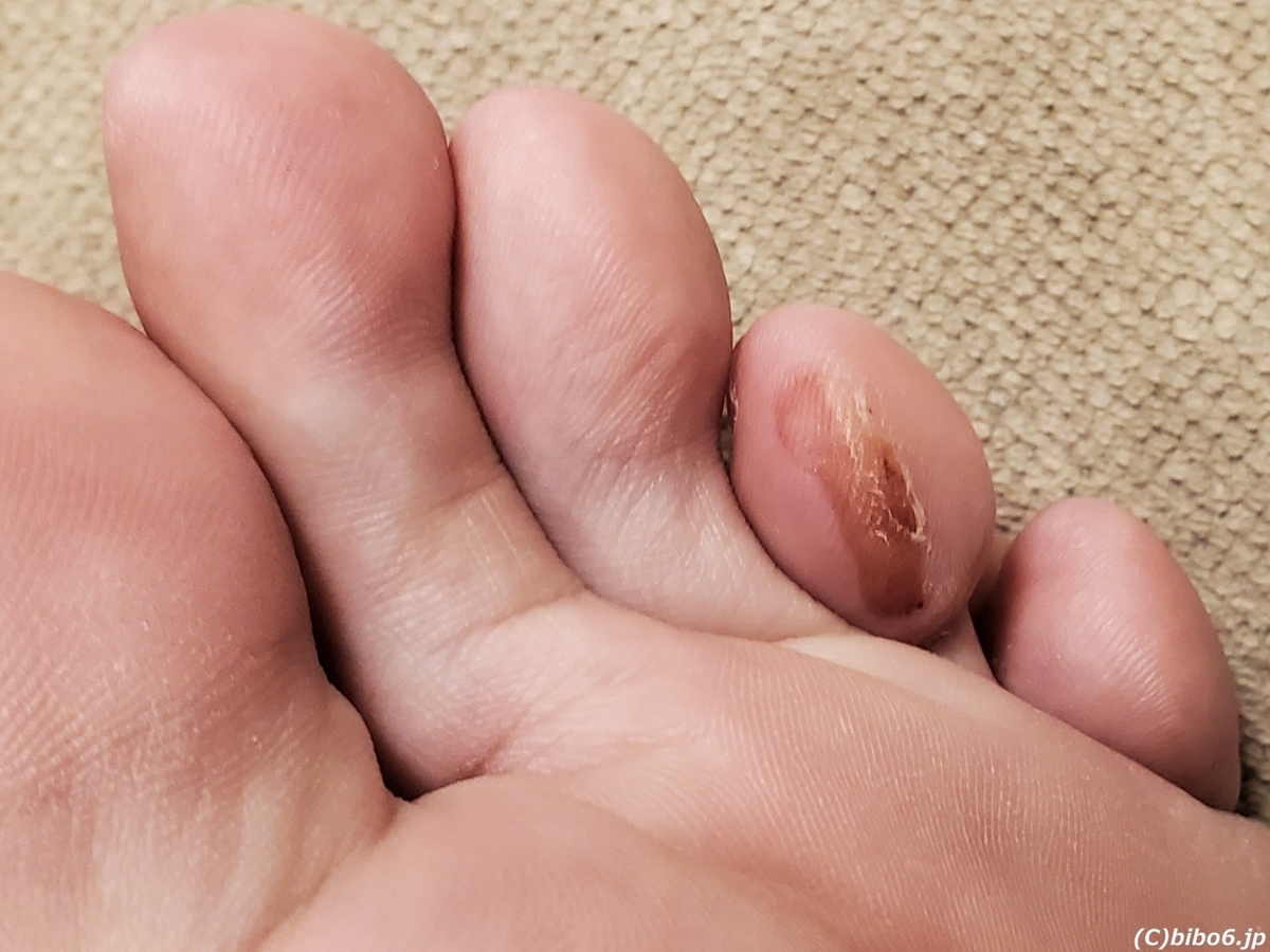 FOOTJOYゴルフシューズの未使用品です、。 新品未使用】フットジョイ ゴルフシューズ - メルカリ