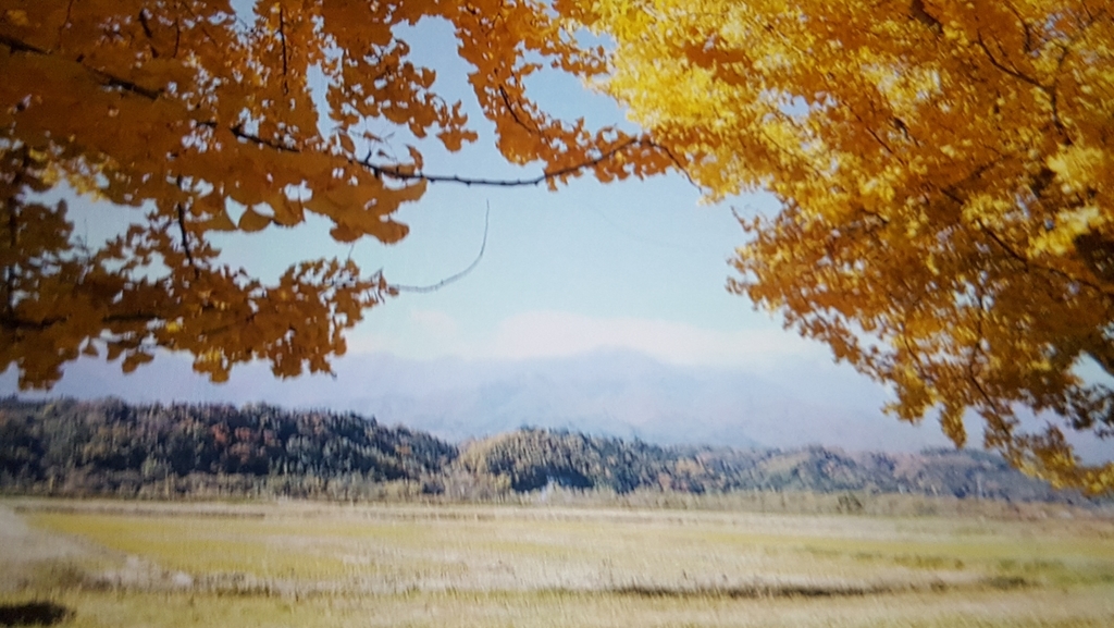 f:id:mewmuwcyomcyomcy9:20181114034132j:plain f:id:mewmuwcyomcyomcy9:20181114034132j:plain