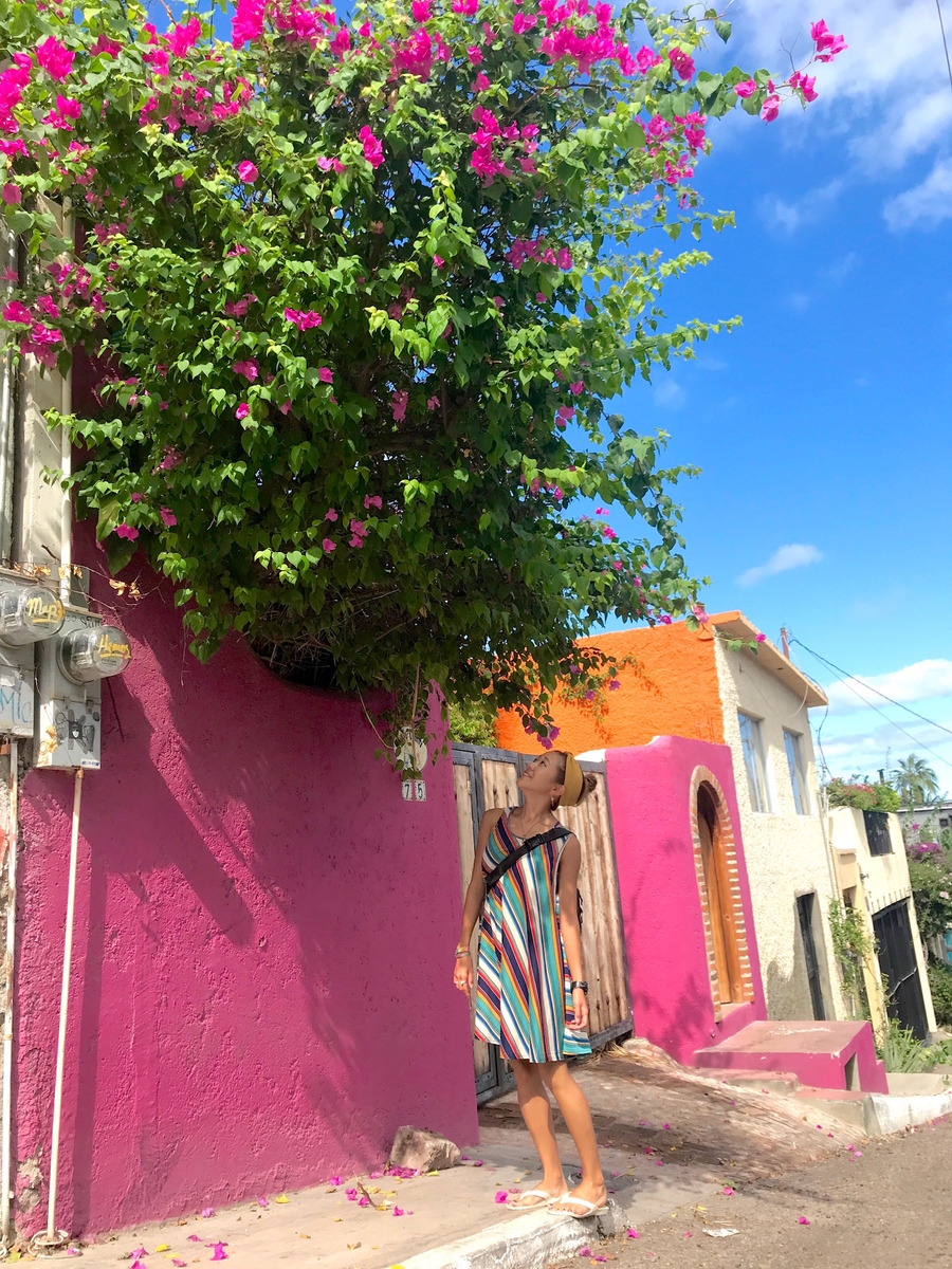 f:id:mexicoi:20190925141336j:plain f:id:mexicoi:20190925141336j:plain