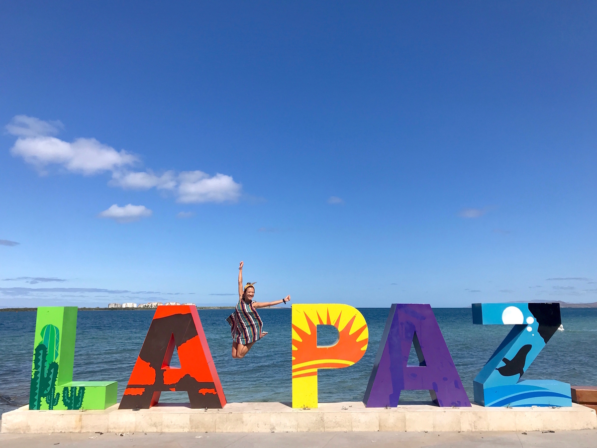 f:id:mexicoi:20190925141343j:plain f:id:mexicoi:20190925141343j:plain