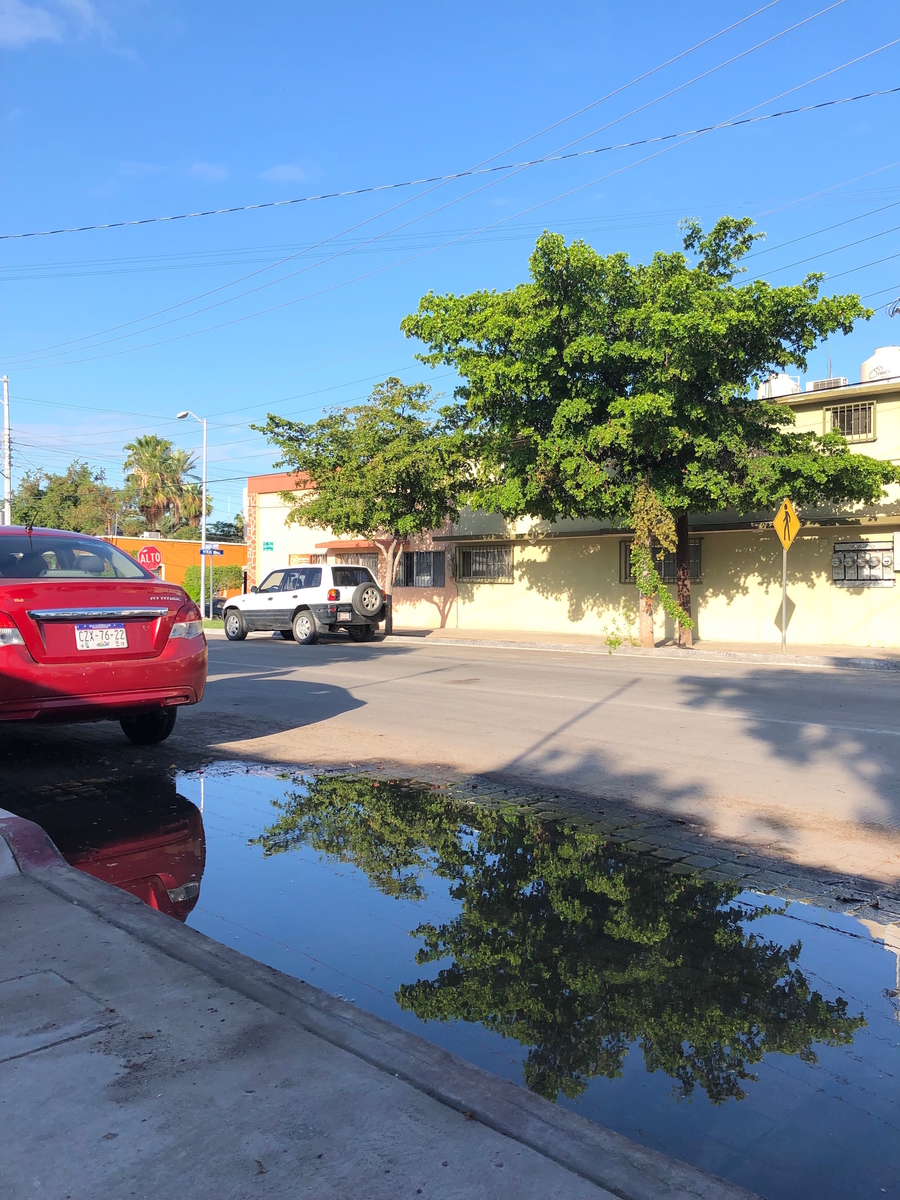 f:id:mexicoi:20190925141356j:plain f:id:mexicoi:20190925141356j:plain