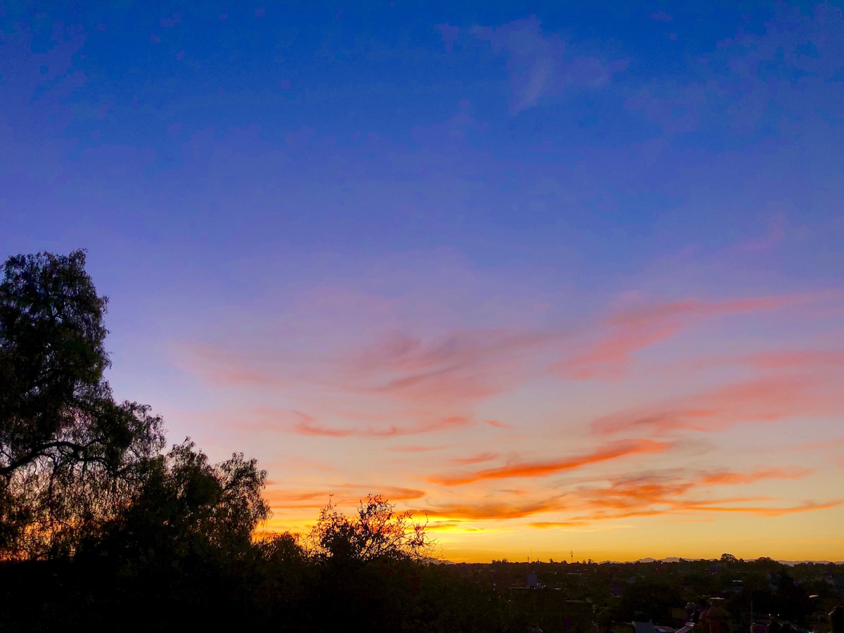 f:id:mexicoi:20191016124026j:plain f:id:mexicoi:20191016124026j:plain