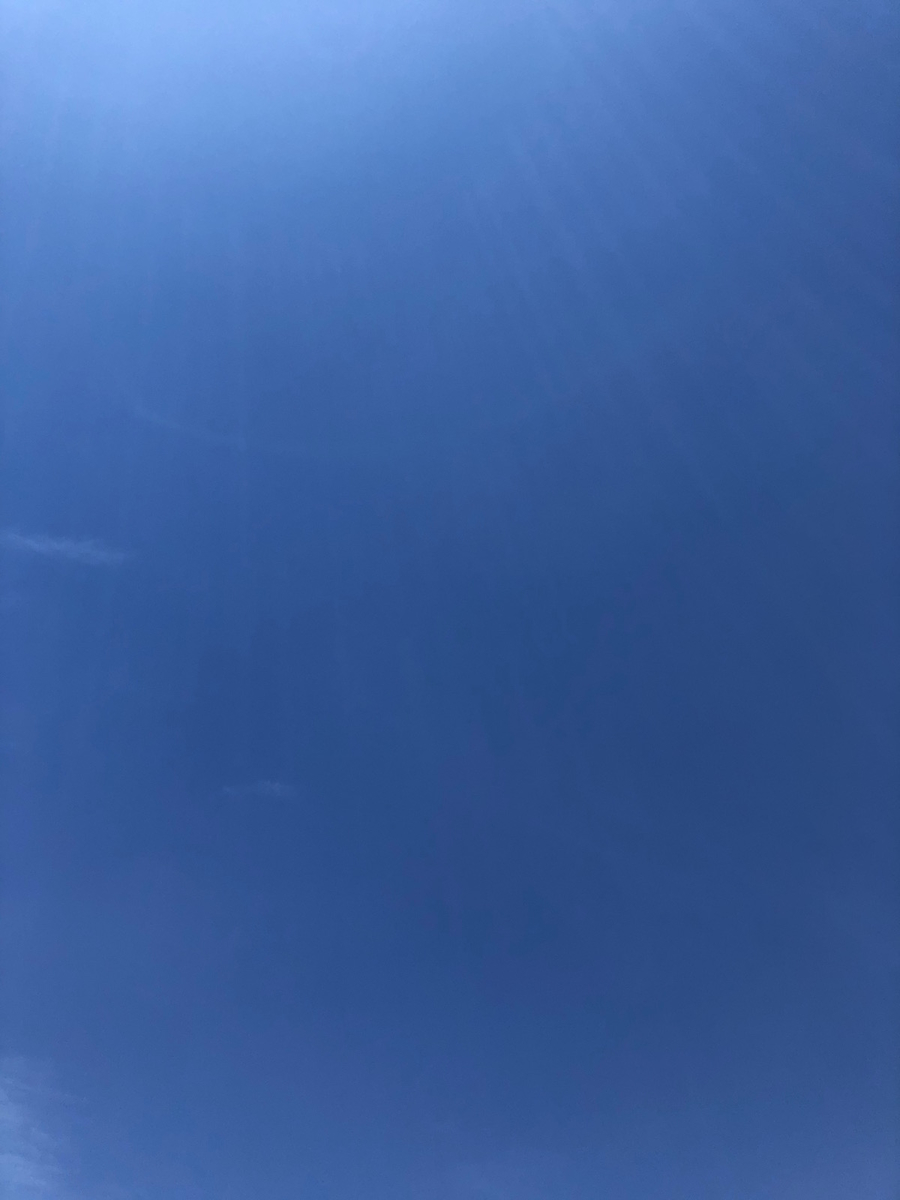 f:id:mexicoi:20191016131518j:plain f:id:mexicoi:20191016131518j:plain