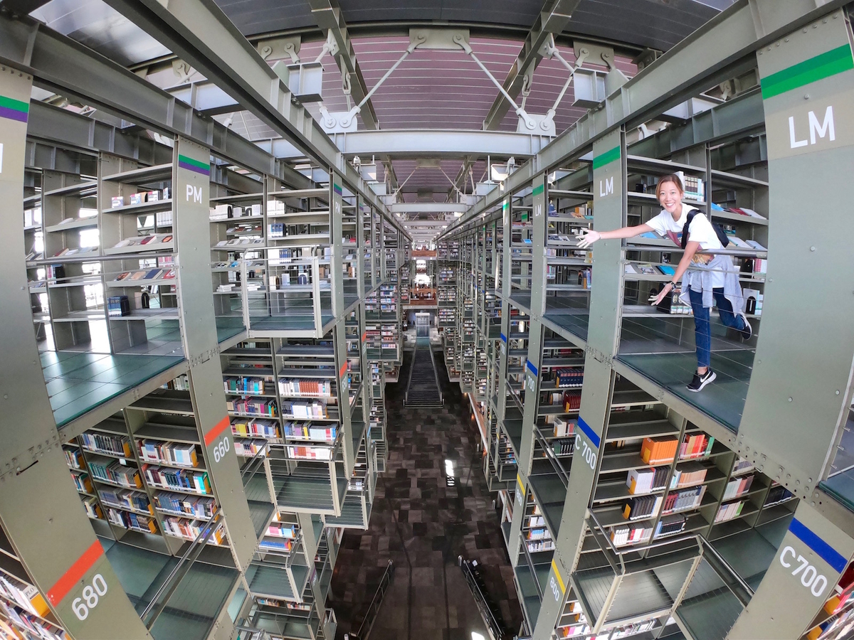 f:id:mexicoi:20191019161258j:plain