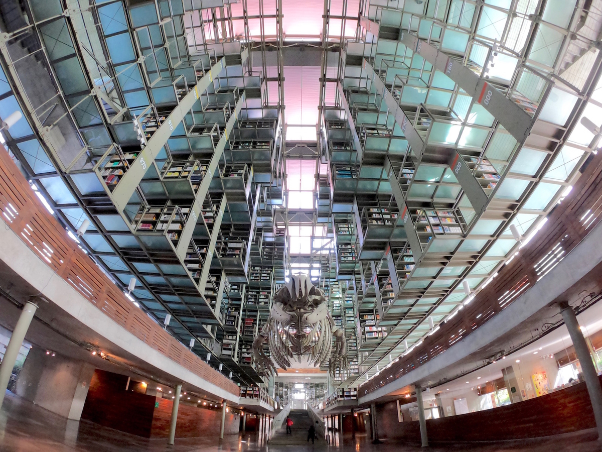 f:id:mexicoi:20191019161307j:plain