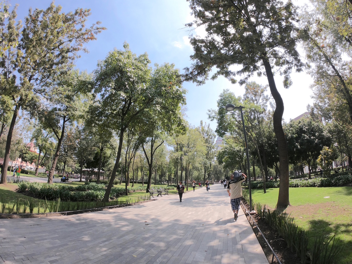 f:id:mexicoi:20191019161320j:plain