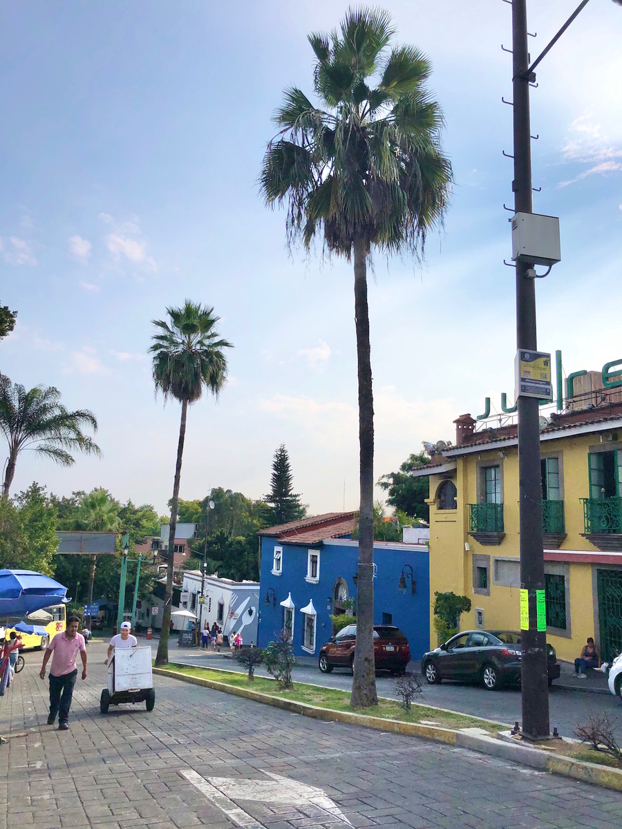 f:id:mexicoi:20191024130121j:plain f:id:mexicoi:20191024130121j:plain