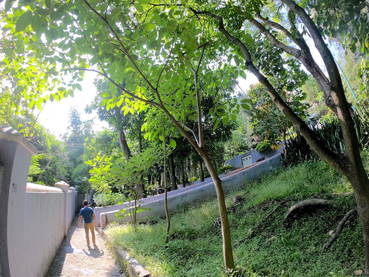 f:id:mexicoi:20191025125508j:plain