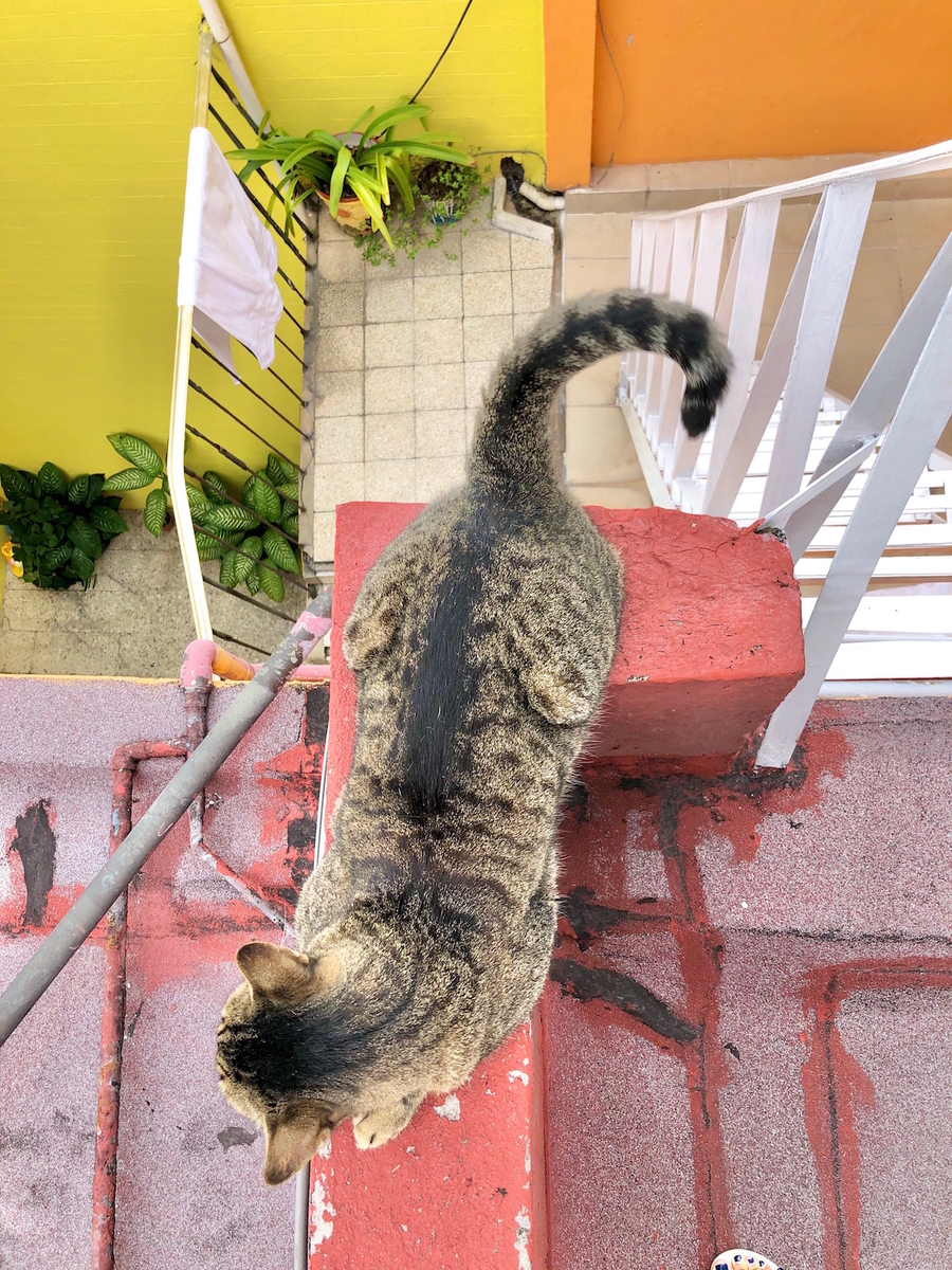 f:id:mexicoi:20191025125559j:plain