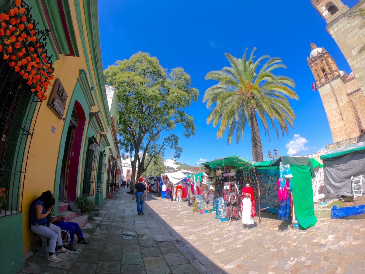 f:id:mexicoi:20191030141322j:plain f:id:mexicoi:20191030141322j:plain