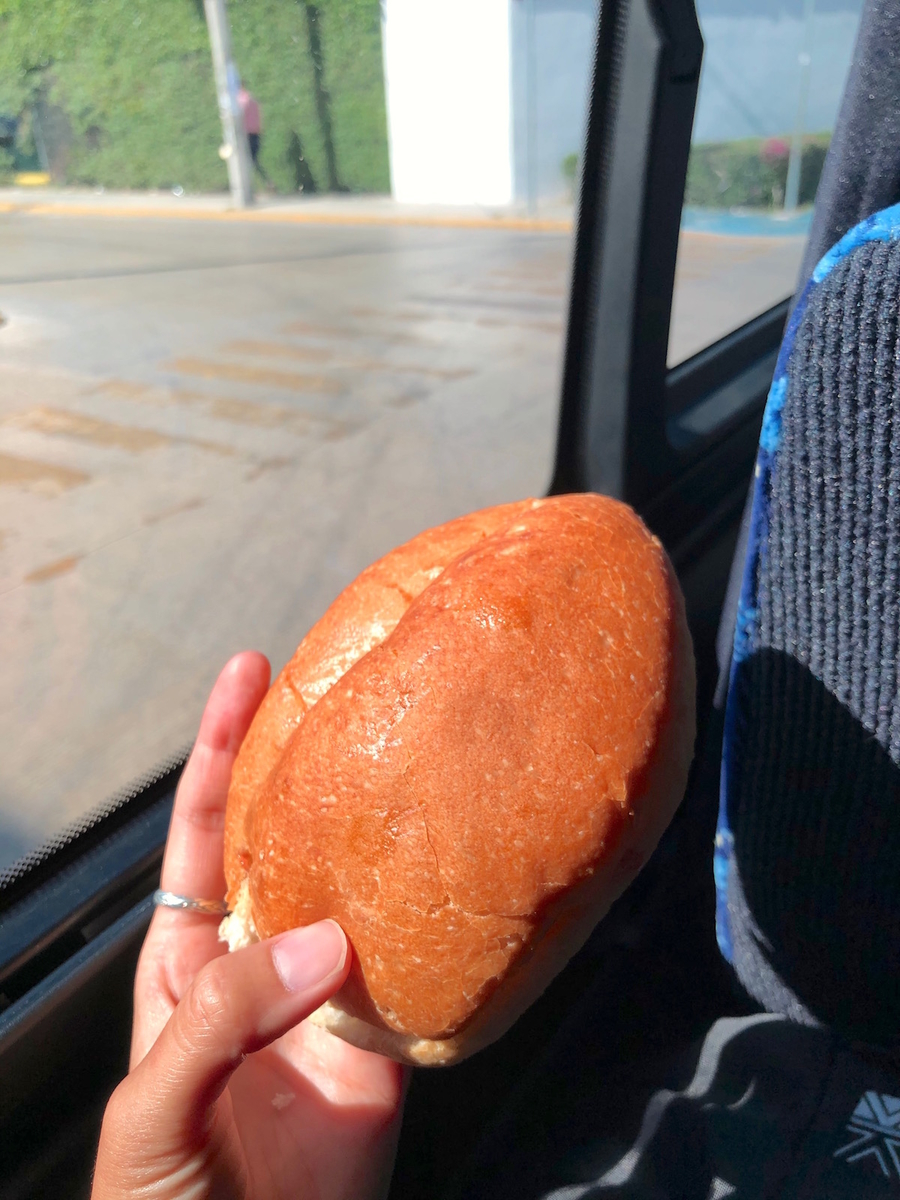 f:id:mexicoi:20191204130900j:plain