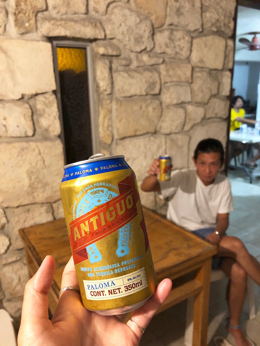 f:id:mexicoi:20191204130914j:plain