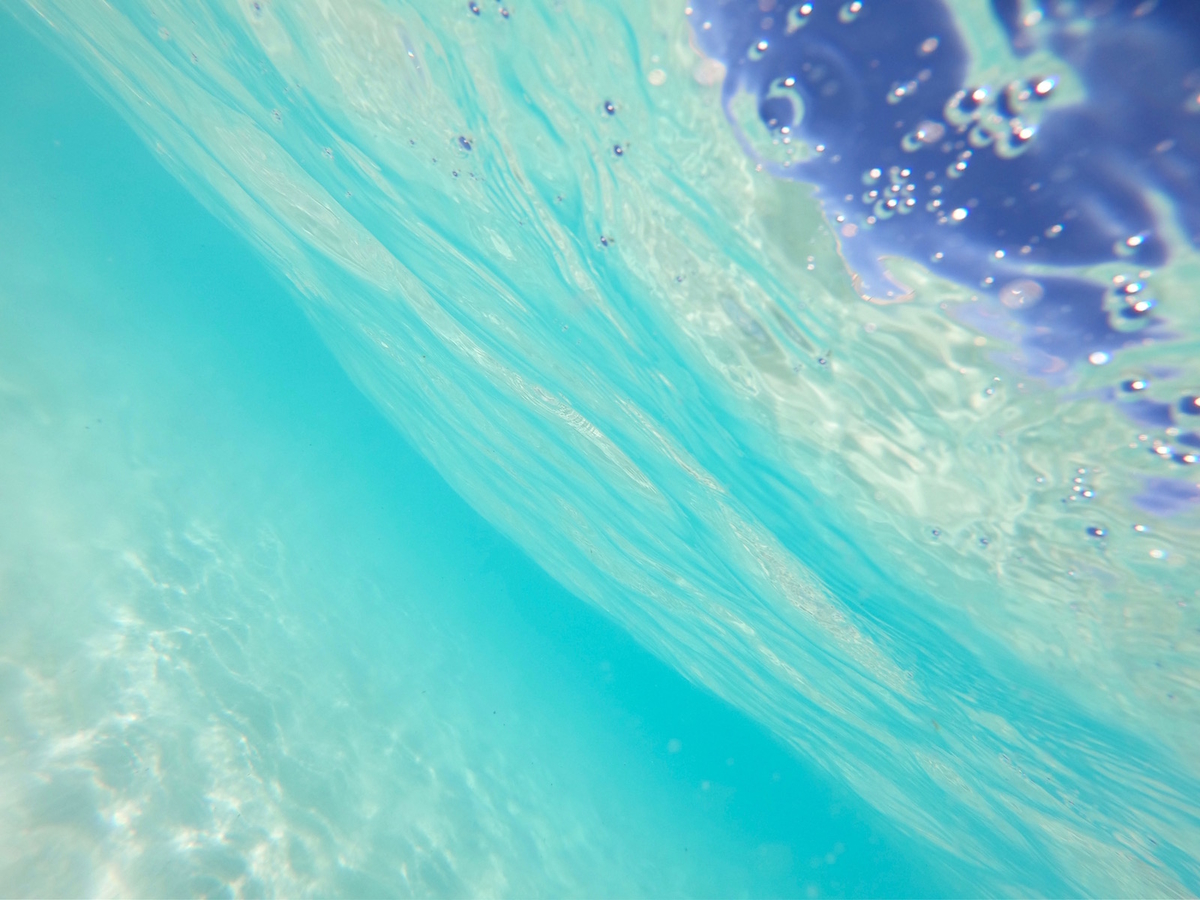 f:id:mexicoi:20191205121243j:plain f:id:mexicoi:20191205121243j:plain