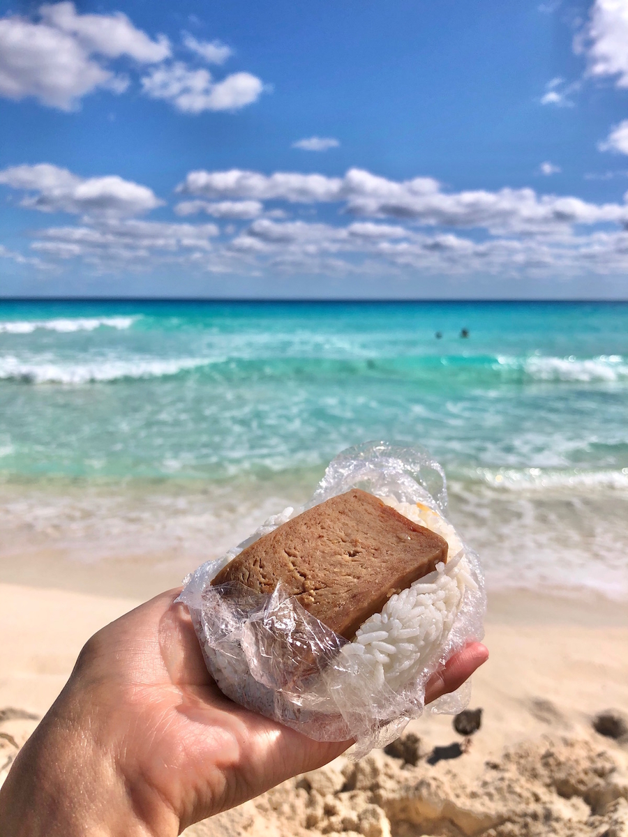 f:id:mexicoi:20191205121302j:plain f:id:mexicoi:20191205121302j:plain