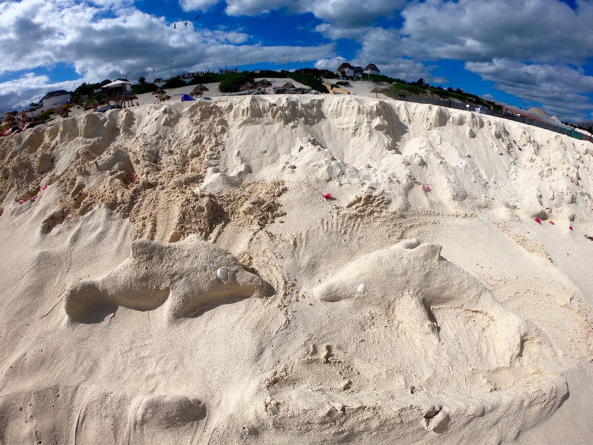 f:id:mexicoi:20191205121559j:plain f:id:mexicoi:20191205121559j:plain