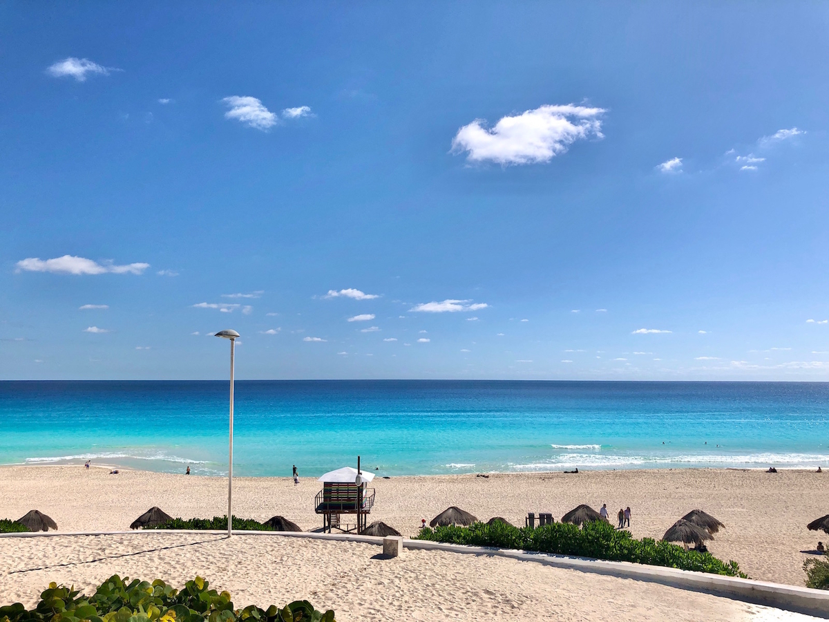 f:id:mexicoi:20191205121630j:plain f:id:mexicoi:20191205121630j:plain