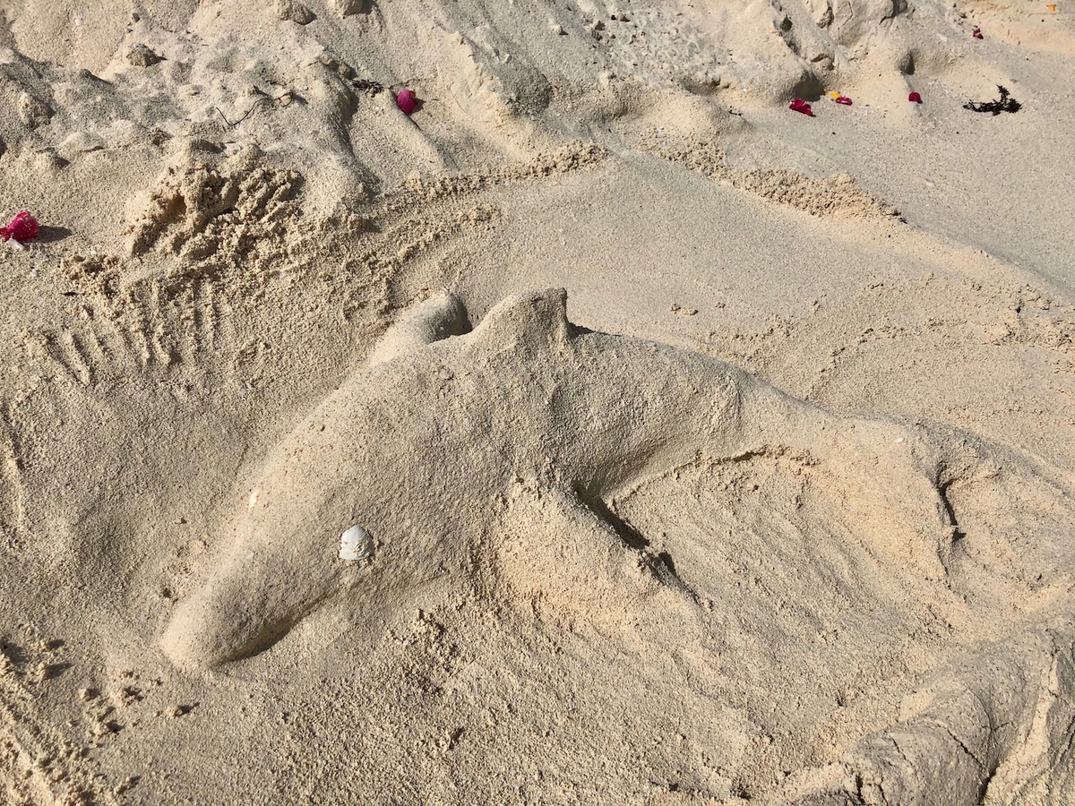 f:id:mexicoi:20191205121737j:plain f:id:mexicoi:20191205121737j:plain