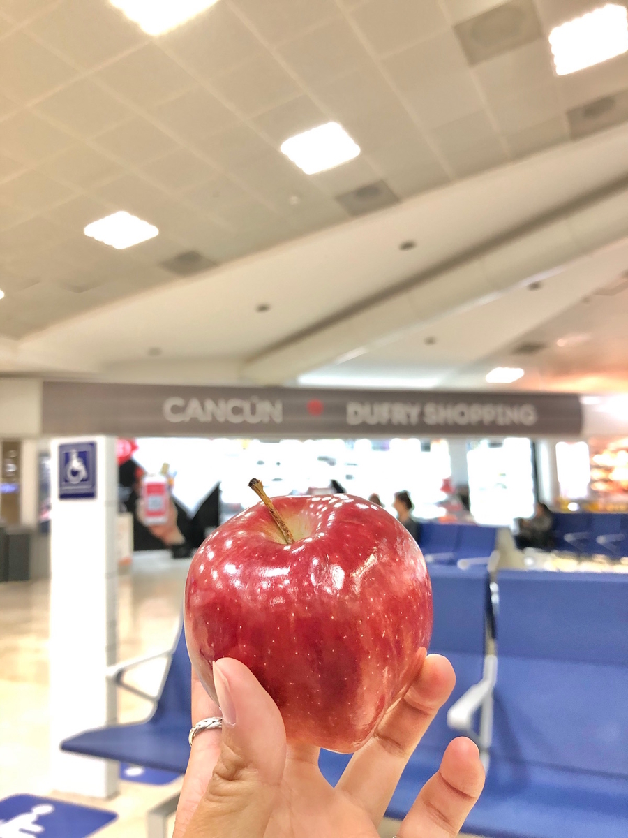 f:id:mexicoi:20191223132901j:plain f:id:mexicoi:20191223132901j:plain