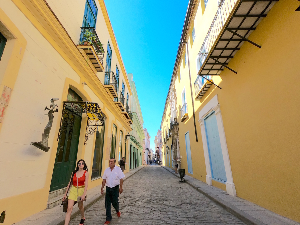 f:id:mexicoi:20191224130011j:plain f:id:mexicoi:20191224130011j:plain