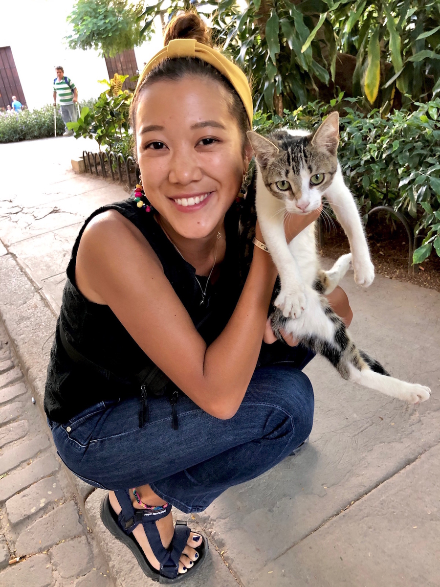 f:id:mexicoi:20191224130052j:plain f:id:mexicoi:20191224130052j:plain