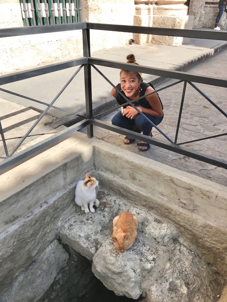 f:id:mexicoi:20191224130122j:plain f:id:mexicoi:20191224130122j:plain