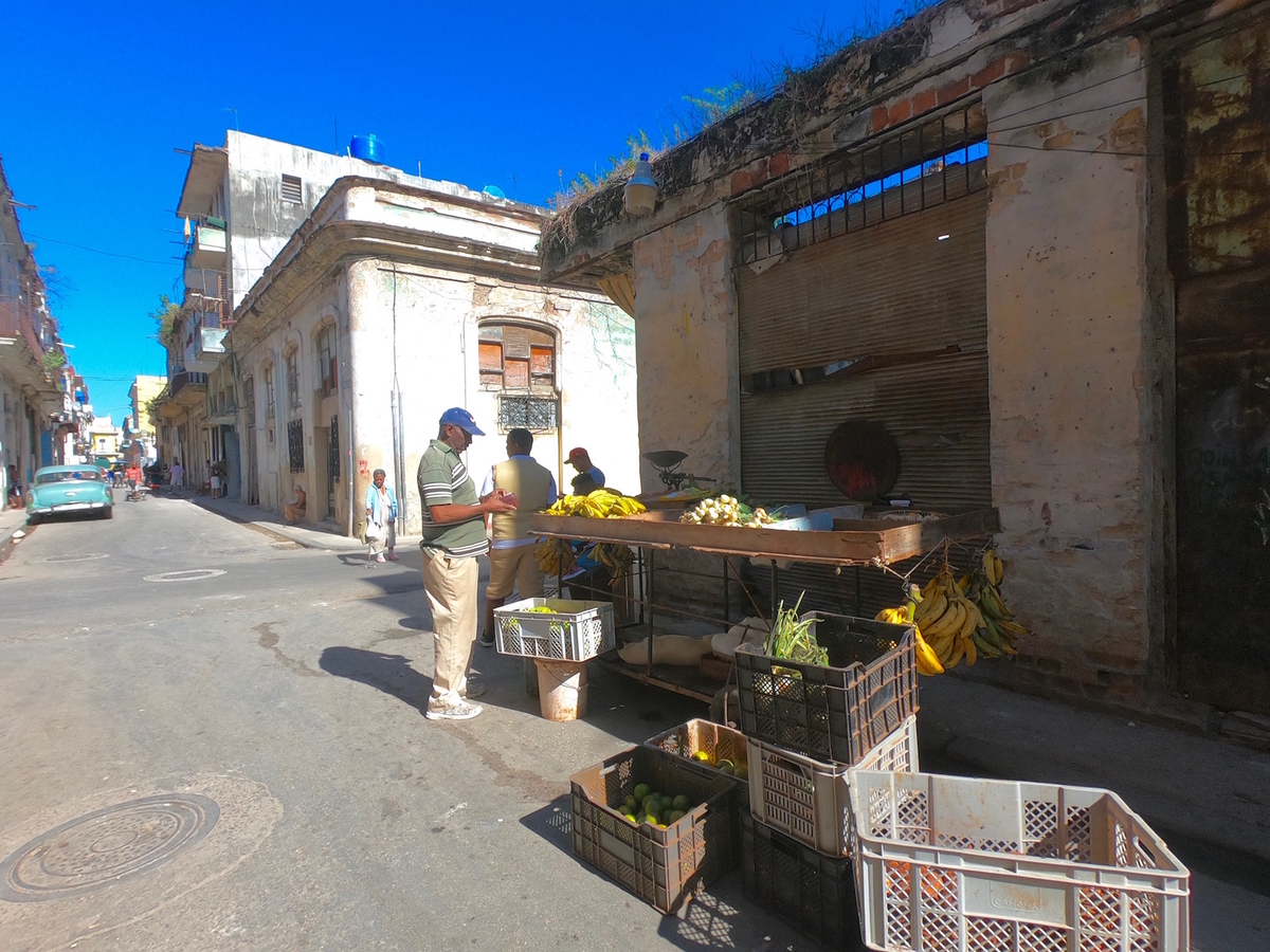 f:id:mexicoi:20191226011407j:plain