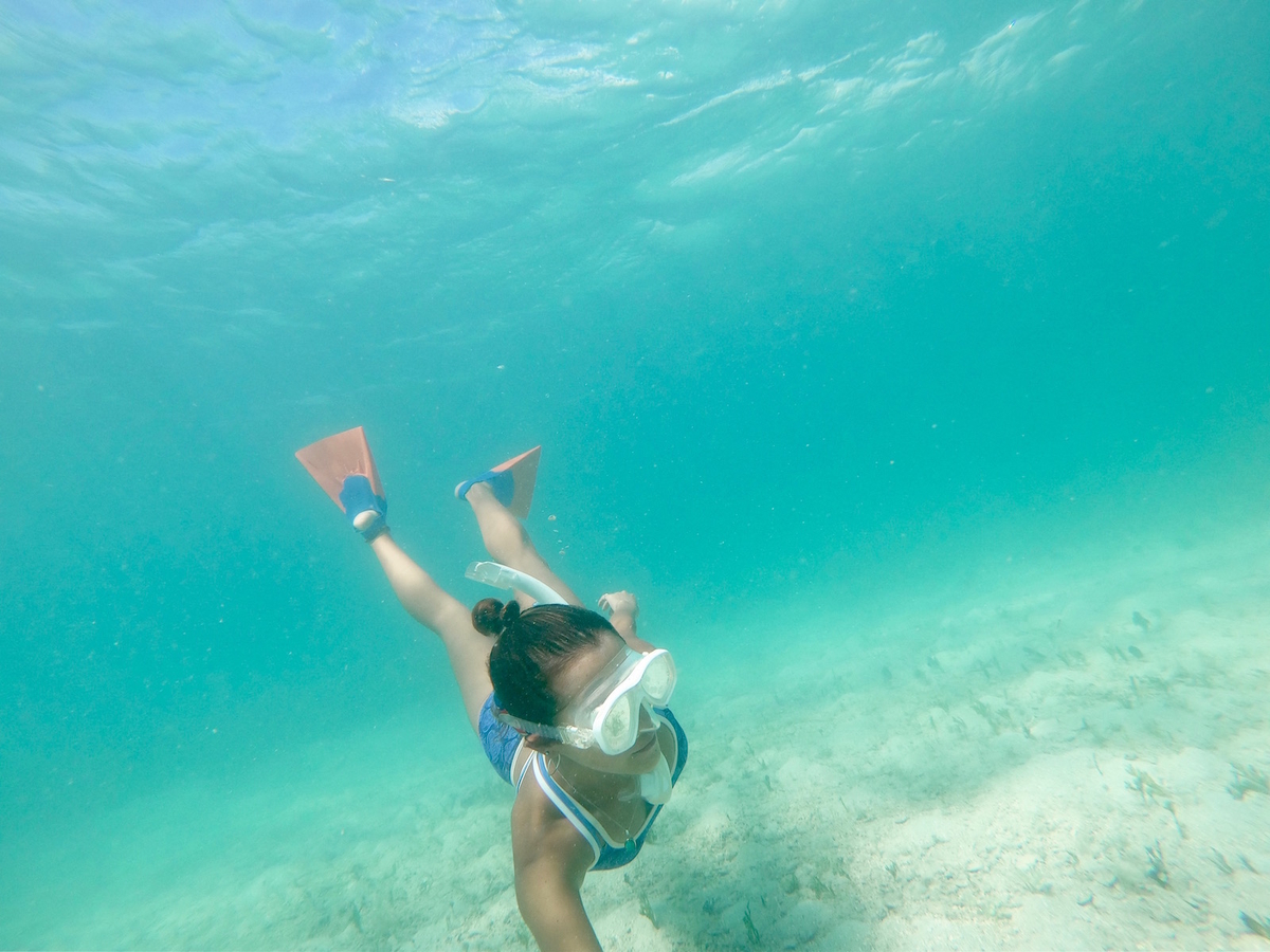 f:id:mexicoi:20191227121616j:plain