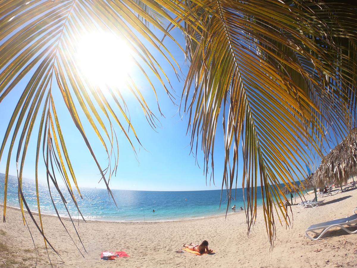 f:id:mexicoi:20191227121649j:plain