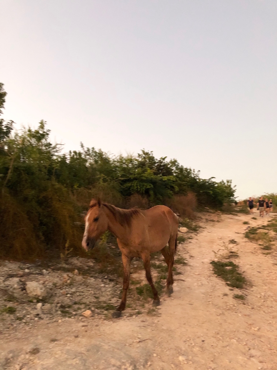 f:id:mexicoi:20191227121921j:plain