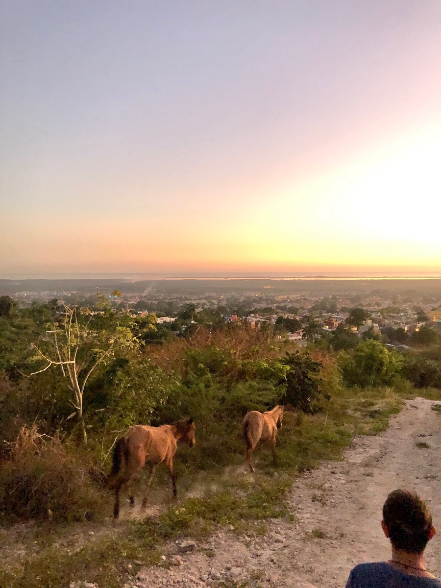 f:id:mexicoi:20191227121935j:plain