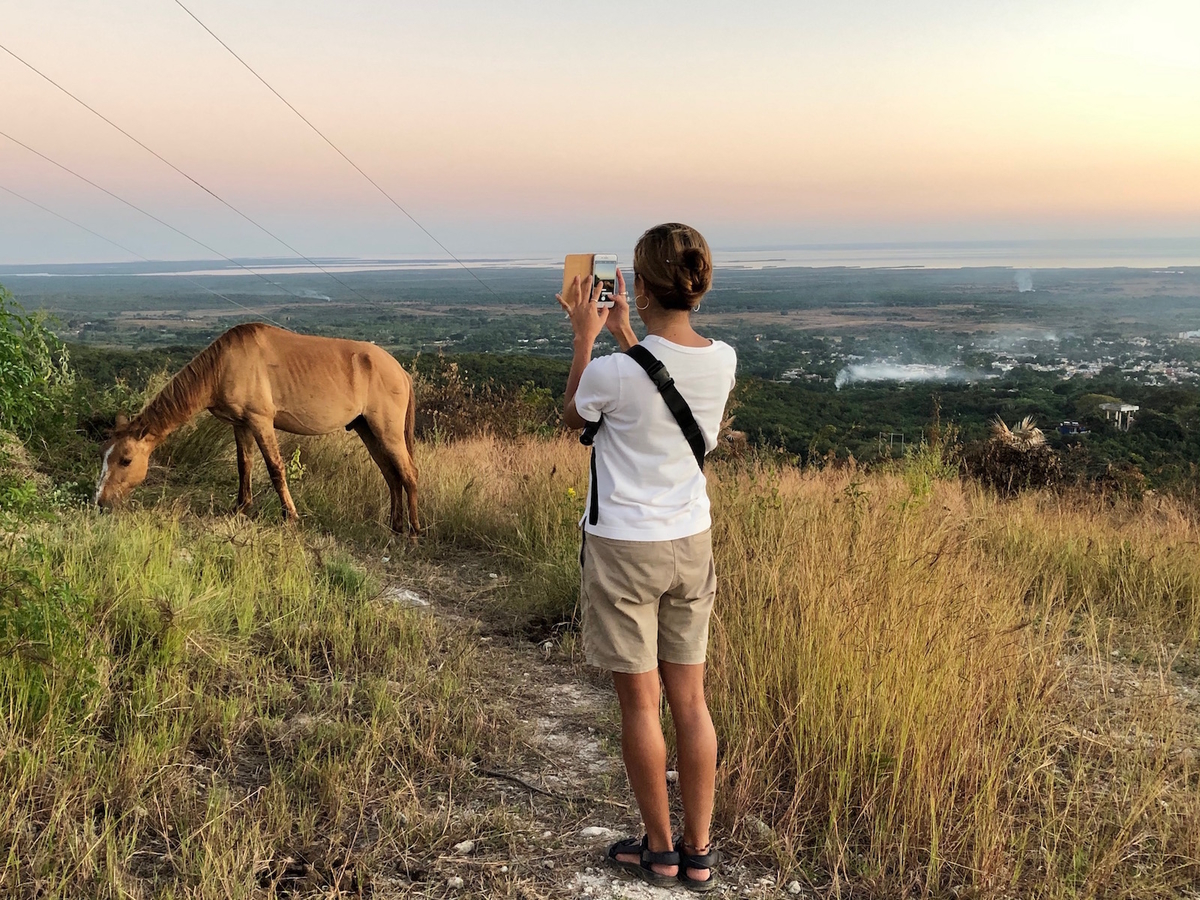 f:id:mexicoi:20191227122004j:plain