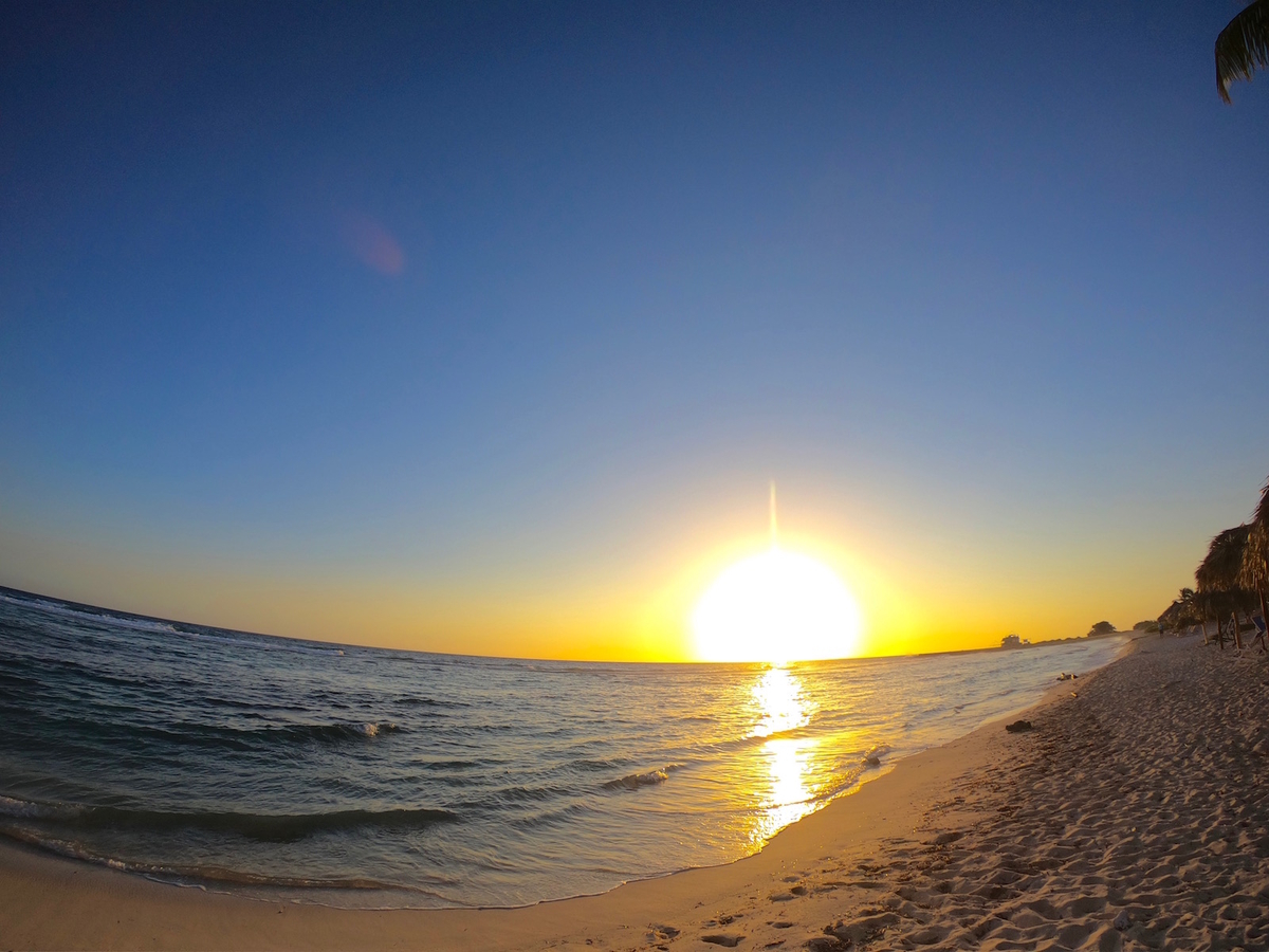 f:id:mexicoi:20191228221632j:plain