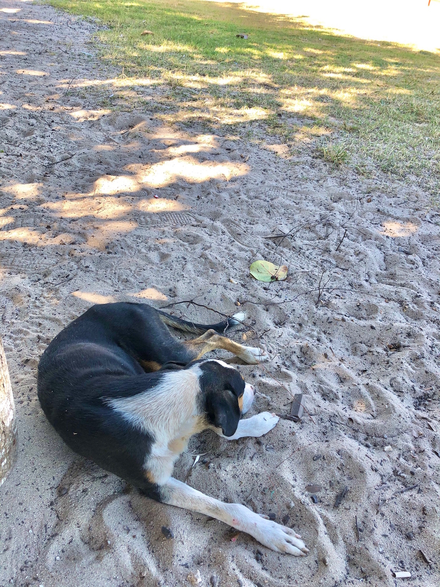 f:id:mexicoi:20191228221756j:plain