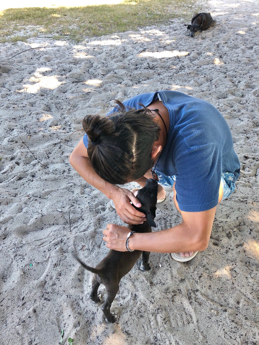 f:id:mexicoi:20191228221829j:plain