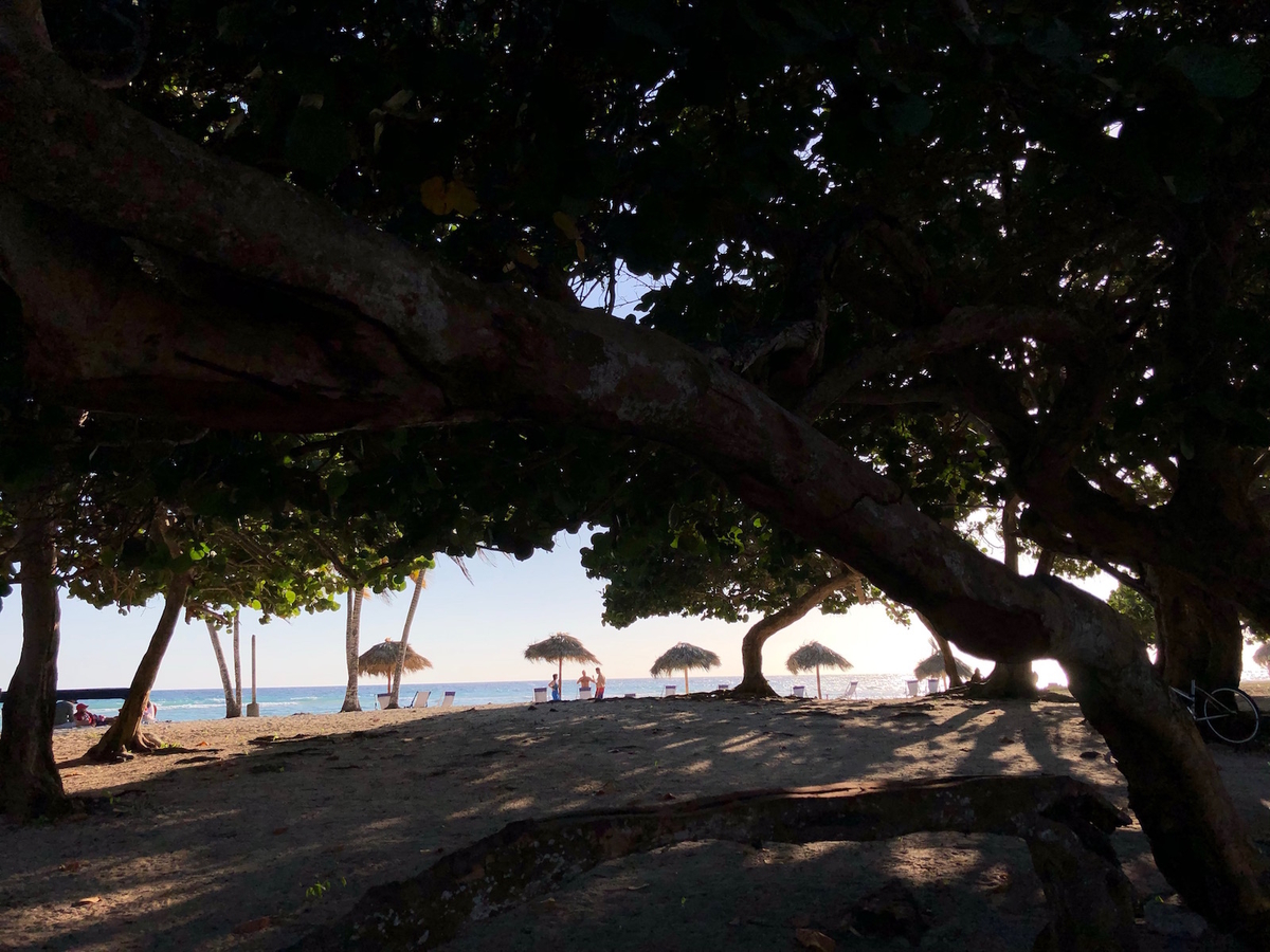 f:id:mexicoi:20191228221857j:plain