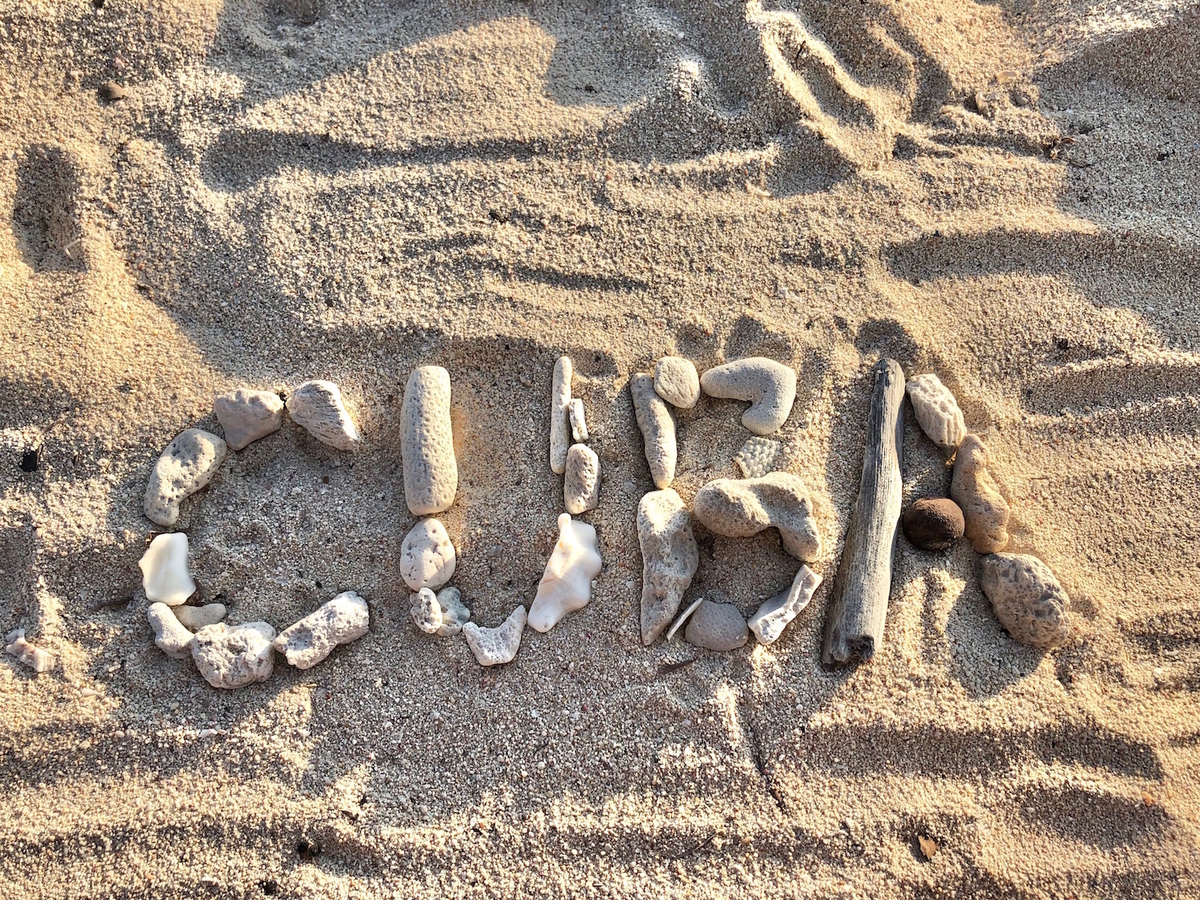 f:id:mexicoi:20191228221943j:plain