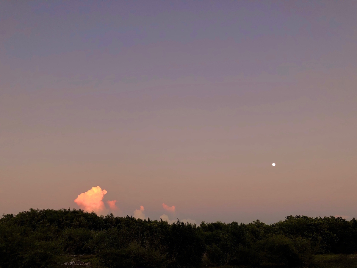 f:id:mexicoi:20191228222002j:plain