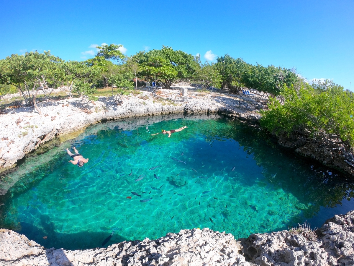 f:id:mexicoi:20191230164126j:plain