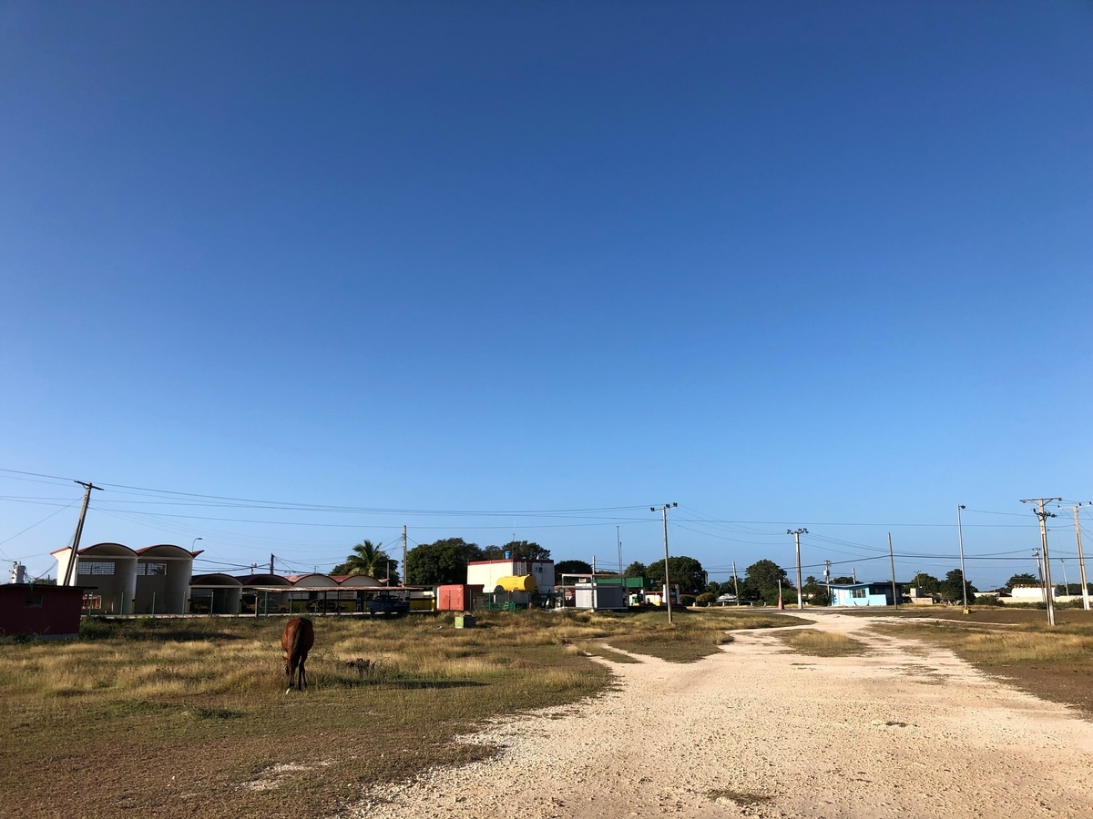 f:id:mexicoi:20191230164336j:plain