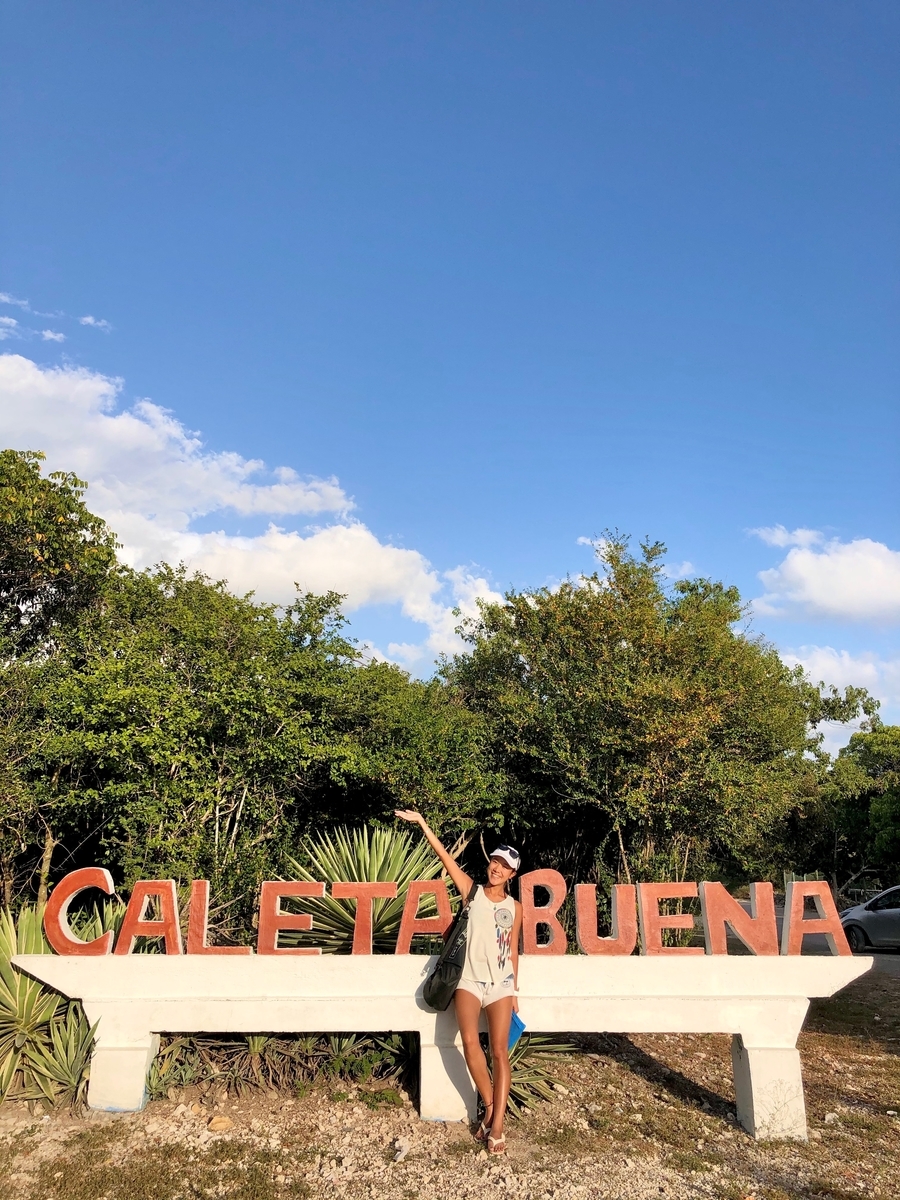 f:id:mexicoi:20191230171529j:plain