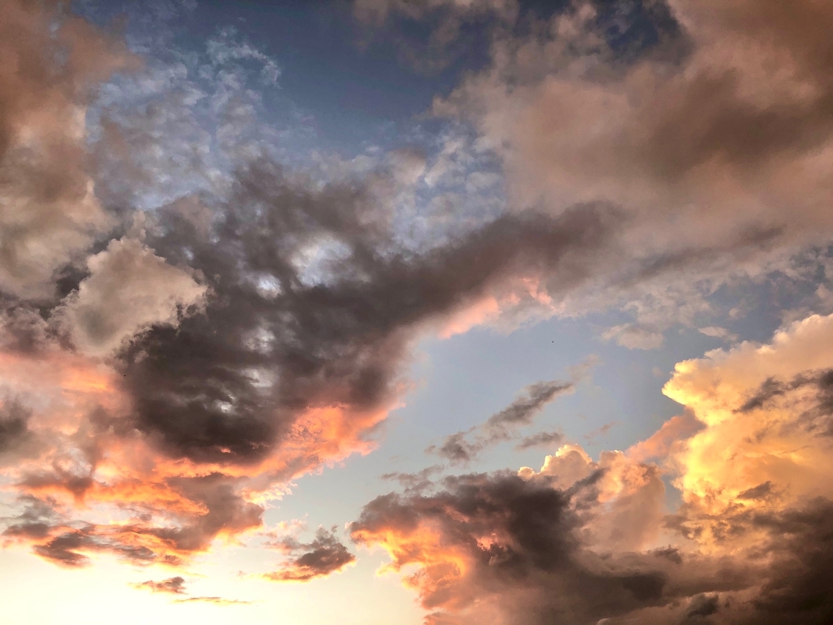 f:id:mexicoi:20191230171653j:plain