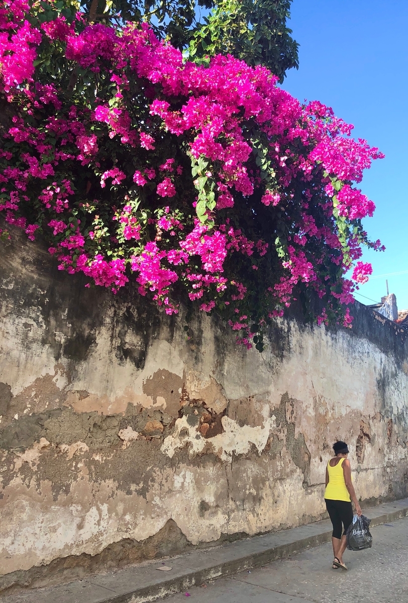 f:id:mexicoi:20200101225741j:plain