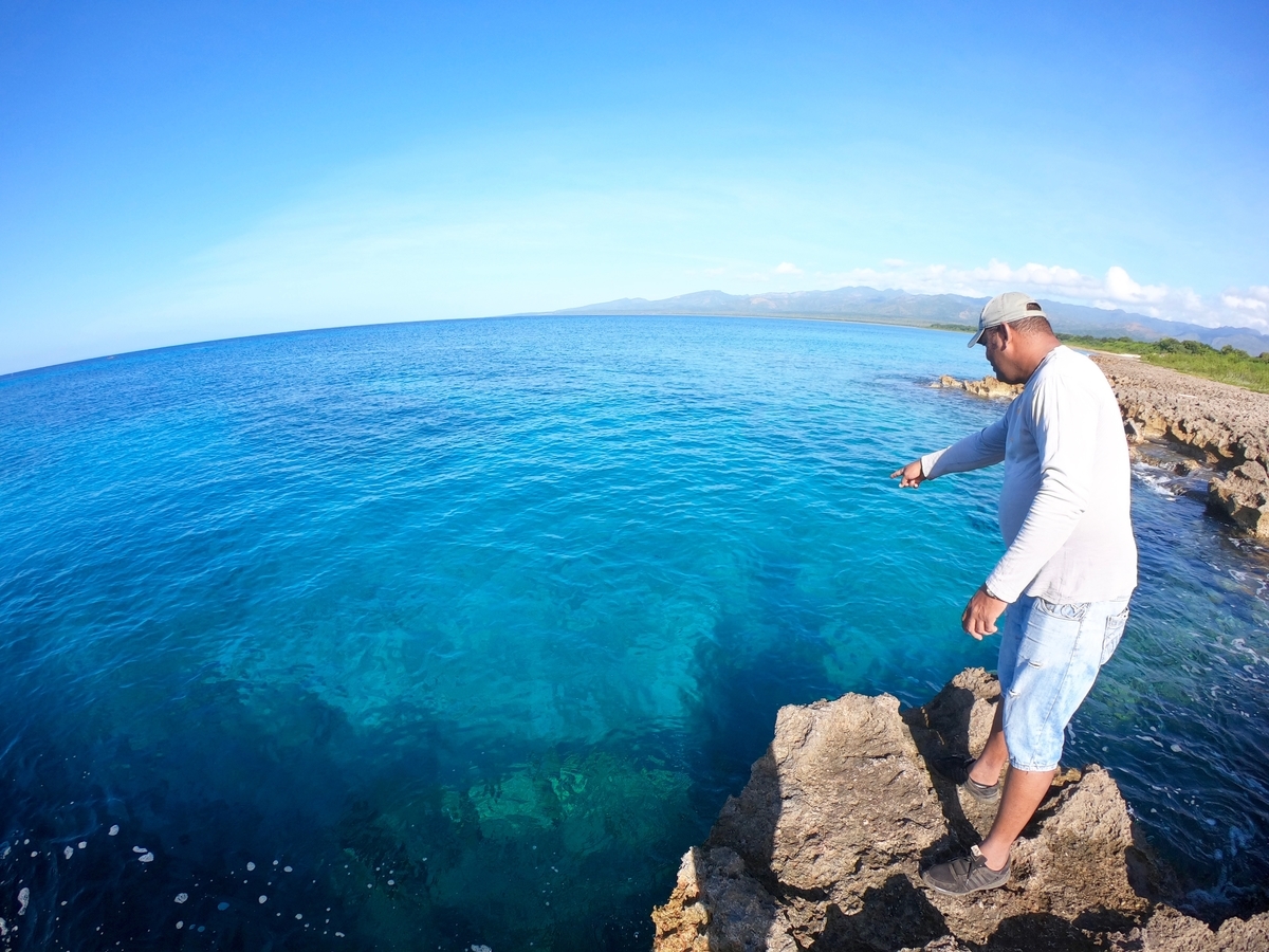 f:id:mexicoi:20200104161842j:plain