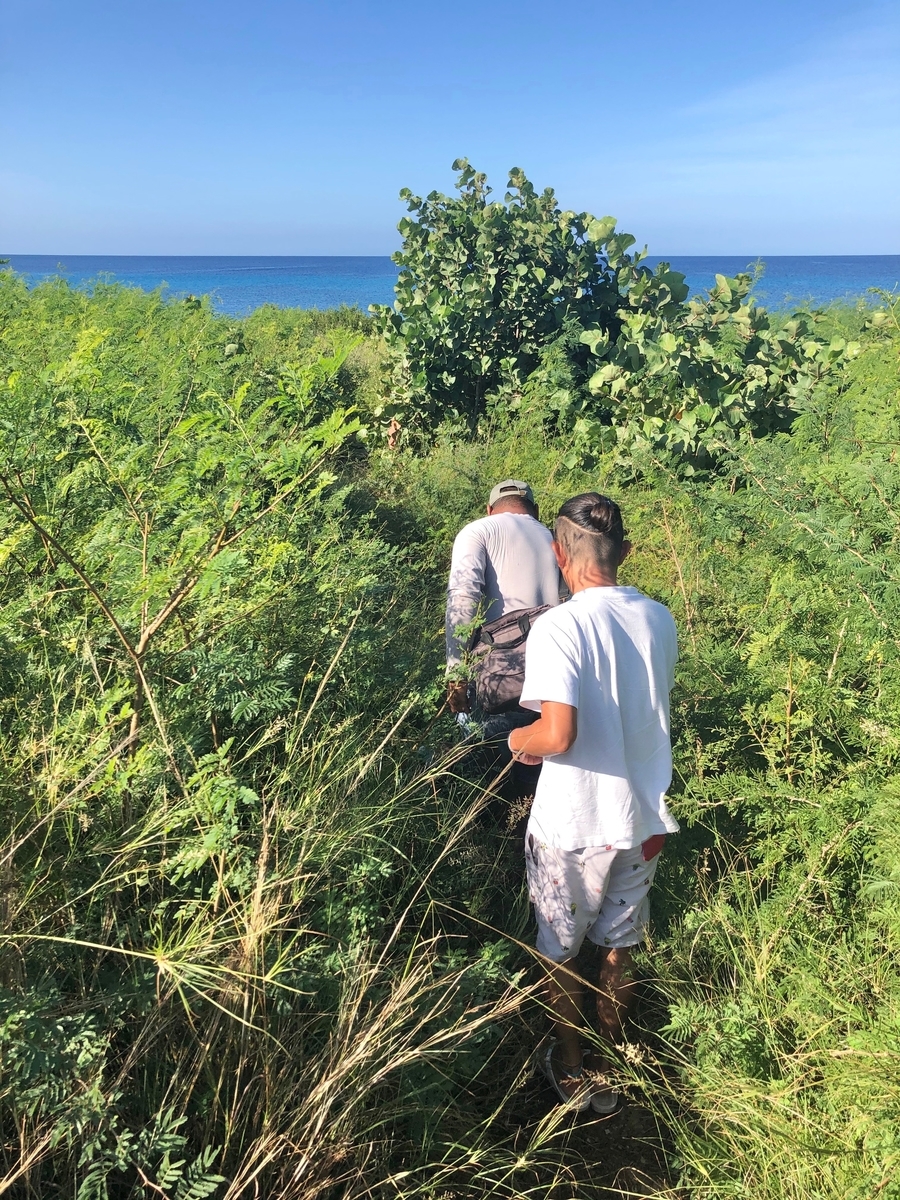 f:id:mexicoi:20200104162007j:plain