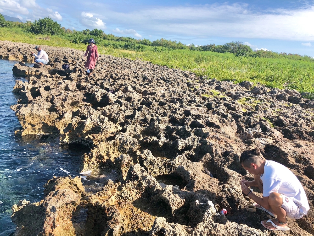 f:id:mexicoi:20200104162026j:plain