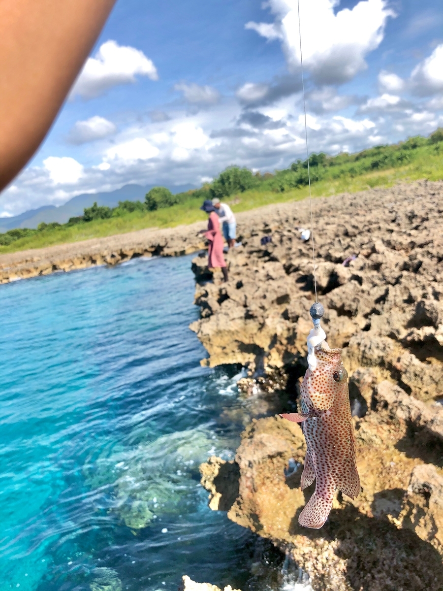 f:id:mexicoi:20200104162041j:plain