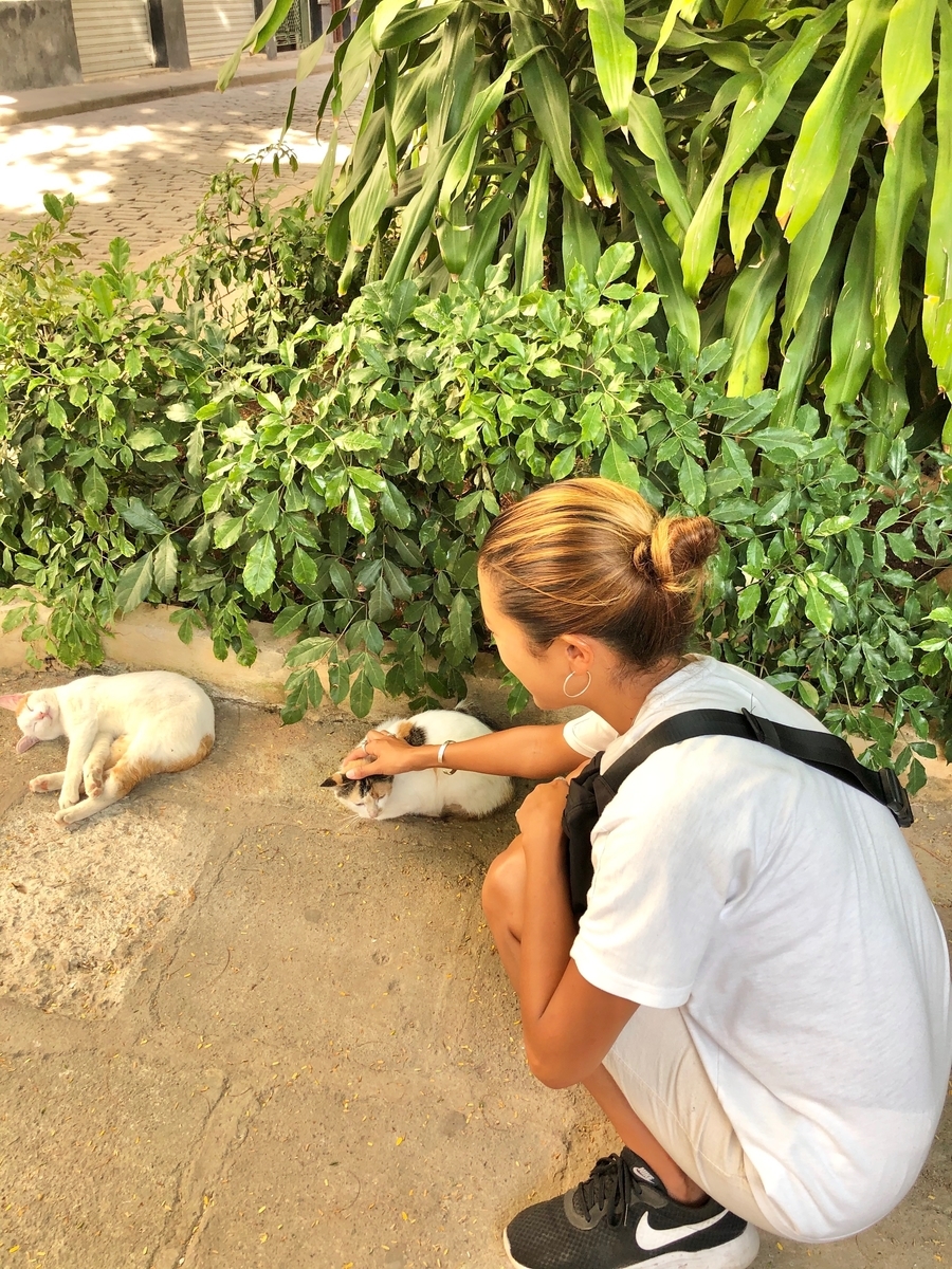 f:id:mexicoi:20200105205000j:plain