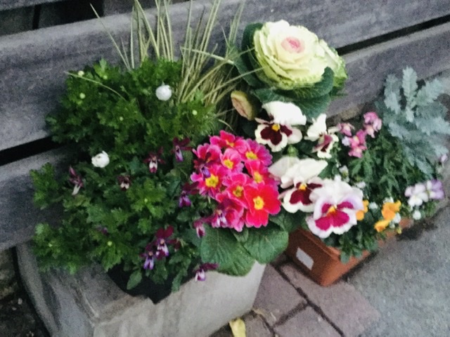 f:id:meymon:20200123153759j:plain f:id:meymon:20200123153759j:plain