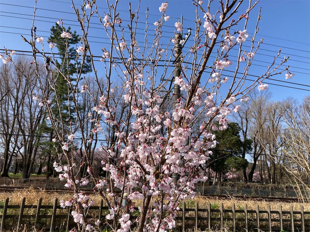 f:id:meymon:20260331122852j:image