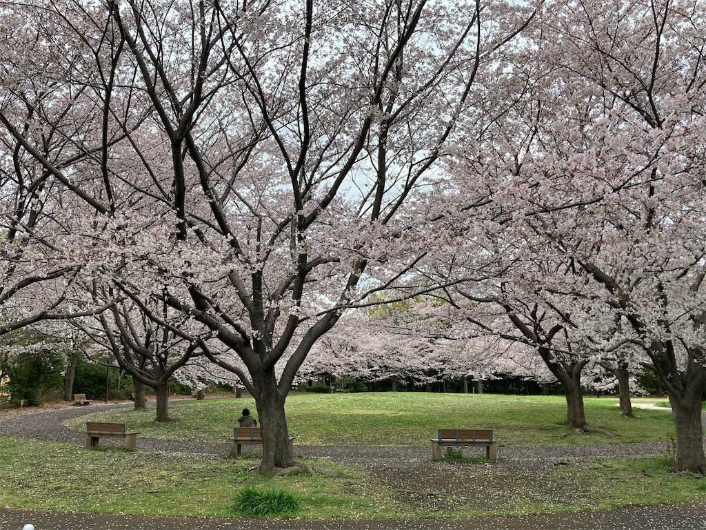 f:id:meymon:20260429152323j:image